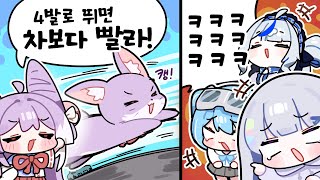 부키가 네발로 뛰면