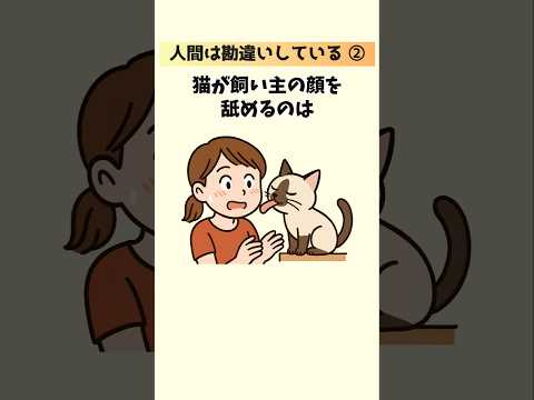 猫の動画サムネイル - 【猫目線の本音】我々人間は完全に勘違いしていた…！猫好きさんへ贈る20の猫の真実② #猫 #雑学 #豆知識 音声「VOICEVOX：ずんだもん」さん