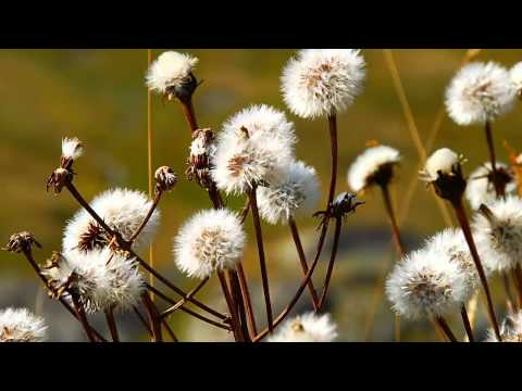 OST Sad Love Song - Will You Come to Me - Yoon Gun (내게오겠니 - 윤건)