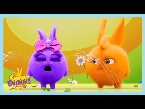 Sunny Bunnies | My Flower ! | SUNNY BUNNIES COMPILATION | Videos For Kids