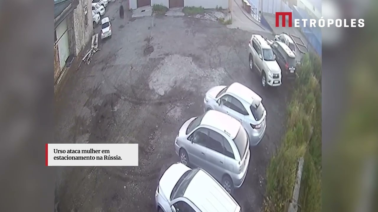Urso ataca homem em estacionamento na Rússia