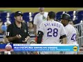 MLB umpire latest to face discipline for allegedly violating gambling rules  - 03:00 min - News - Video
