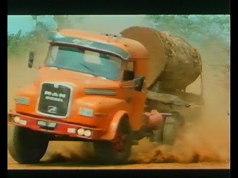 African Timber'