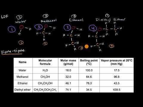 Intermolecular forces and vapor pressure