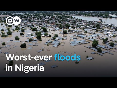 One million Nigerians displaced by severe flooding | DW News