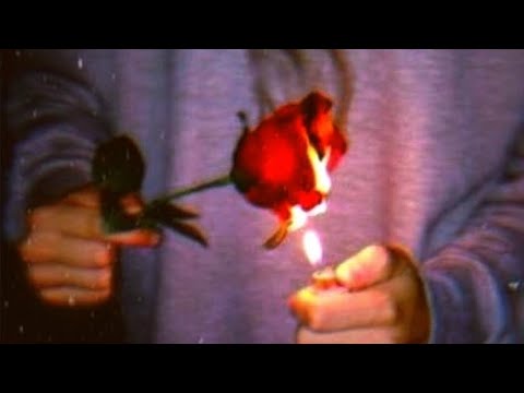 Ufo361 ft. Bausa "𝐁𝐫𝐨𝐤𝐞𝐧 𝐇𝐞𝐚𝐫𝐭𝐬" 𝘚𝘭𝘰𝘸𝘦𝘥 𝘙𝘦𝘷𝘦𝘳𝘣 💔