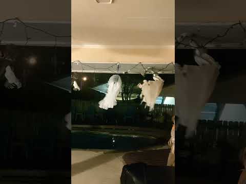 windy Halloween night