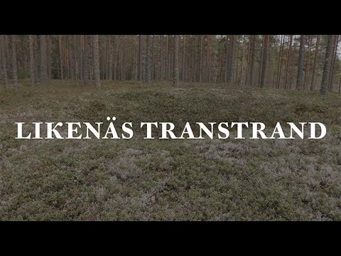 Likenäs- Transtrand