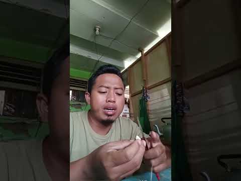 Highlight live bantu istri di dapur #fypシ #viral #masterchef #chef