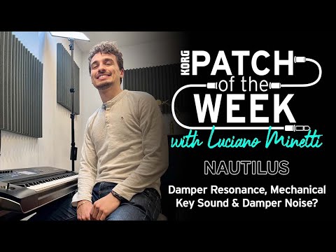 What is Damper Resonance, Mechanical Key Sound & Damper Noise? NAUTILUS | Part 2