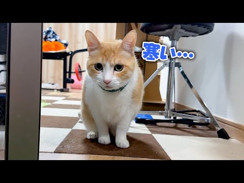 外が思ったより寒くてロビンが悲しい顔になってしまいました…。