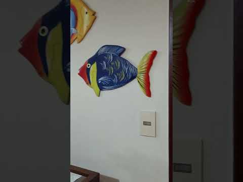 Video realizado por la propiedad