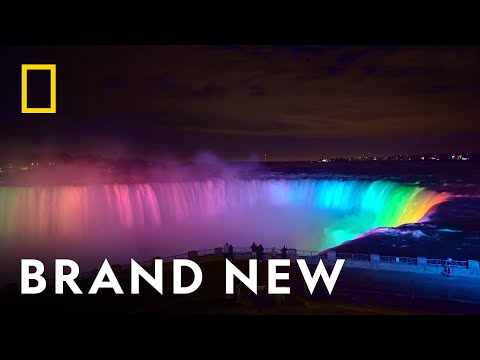 Pride From Above'