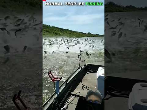 fishing 🎣 #fishing #viral #trending #cartoon #shortsfeed #tranding #viralvideos