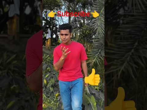 #DreamScreenAI  #dance #music #shorts