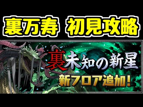 【生放送】つまらなかったらすぐ寝てしまう裏万寿初見チャレンジ【パズドラ】
