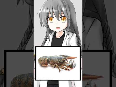 thumbnail_HZ_lLCYmReM