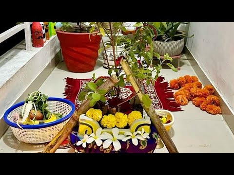 तुलसी विवाह की हार्दिक शुभकामनाएं 🙏🏻 live on 🌺🌿