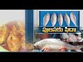 It is time for Godavari Pulasa fish; Rs. 4,000 per kg.