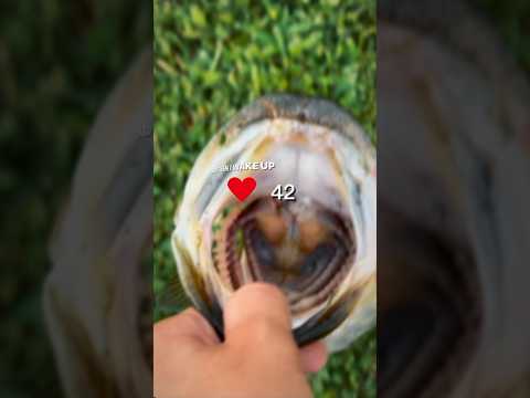 Small content creators need more support!! #jesus #fishing #edit #subscribe