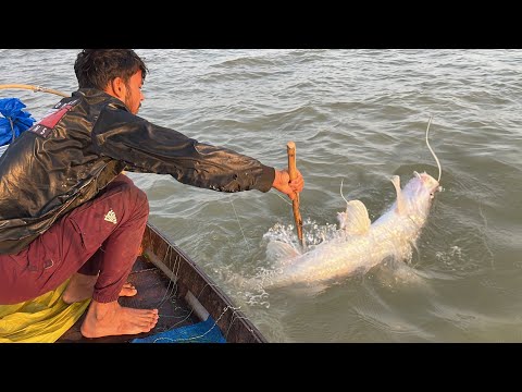 বানসাগরে আয়ের মাছের খনি পাইলাম আমরা 😮🐬।। বুঝতে পারিনি যে এই নতুন জায়গাটা এত মাস হবে 😱 #fishing 