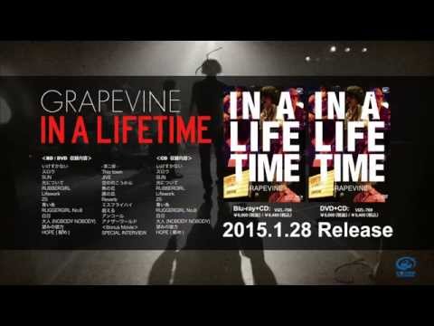 GRAPEVINE - 「IN A LIFETIME」 SPECIAL INTERVIEW 予告編