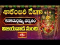 శాకంబరీ అలంకారంలో ఇంద్రకీలాద్రి కనకదుర్గమ్మ దర్శనం | Vijayawada Durgamma Shakambari Alankaram