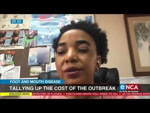 Foot and Mouth Disease | Tallying up the cost of the outbreak