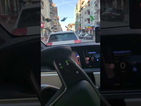 Tesla X plaid parkowanie  wzdłuż