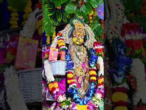 आज श्री राधा दामोदर भगवान बाल रुप में दर्शन दिए #shridhamvrindavan #radheshyam
