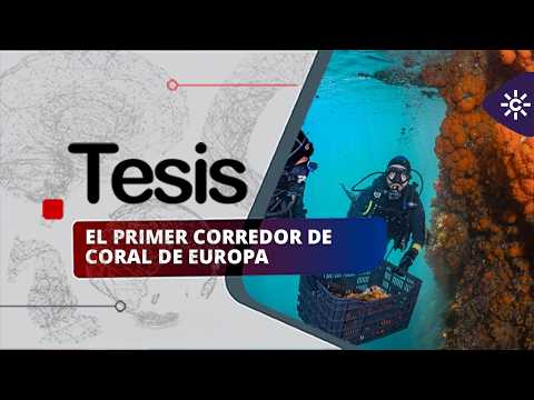 Tesis | La protección del Mediterráneo, la paleografía y la emoción musical