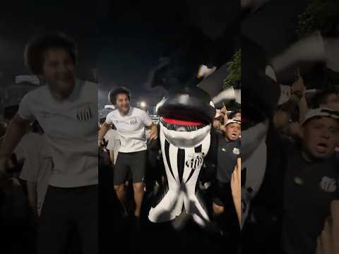 image para ilustrar o artigo