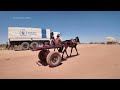 Starving people in Sudan eat weeds and plants to survive as war rages  - 01:20 min - News - Video
