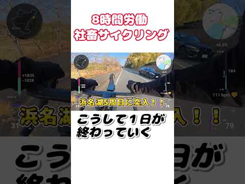 8時間労働!社畜サイクリング  #ロードバイク #サイクリング #浜名湖
