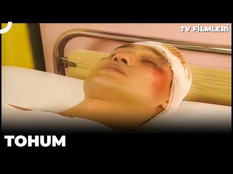 Tohum | Kanal 7 Tv Filmi