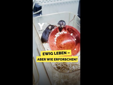 Ewig leben - aber wie erforschen? #shorts