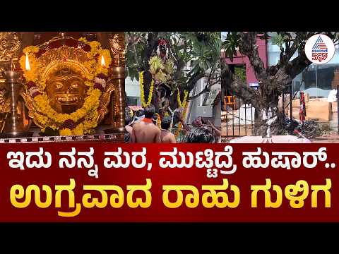 Mangaluru | ಇದು ನನ್ನ ಮರ, ಮುಟ್ಟಿದ್ರೆ ಹುಷಾರ್! ಹೆದ್ದಾರಿ ಇಲಾಖೆ ವಿರುದ್ಧ ರಾಹು ಗುಳಿಗ ದೈವದ ಎಚ್ಚರಿಕೆ