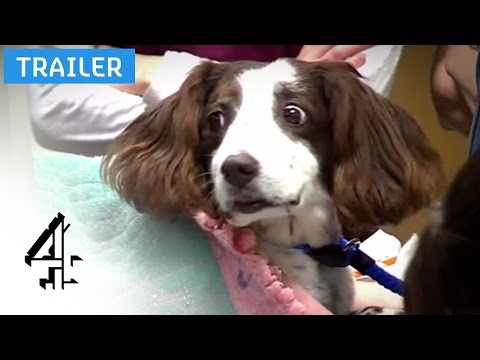 The Supervet'