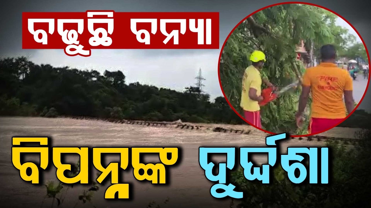 ବଢୁଛି ବନ୍ୟା ବିପନ୍ନଙ୍କ ଦୁର୍ଦ୍ଦଶା | Heavy Rain & Flood Havoc Across Odisha | Flood Alert | Argus News