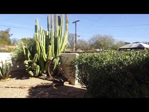 Property video