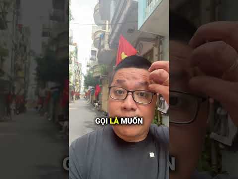 "Xả Pin" Xã Hội: Tại Sao Người Mất Ngủ Cần Thời Gian Ở Một Mình