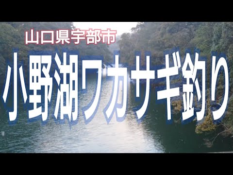 【山口県宇部市】冬の風物詩ワカサギ釣り