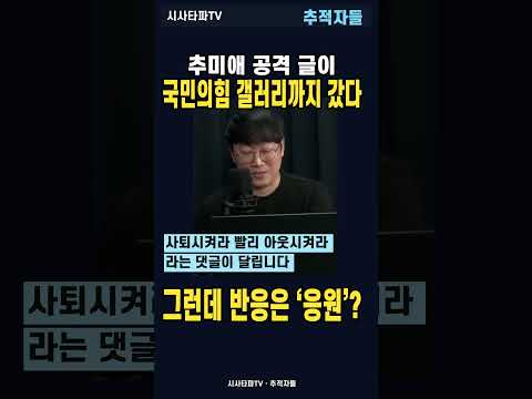 추미애 공격하다 윤어게인과 손잡자고?…‘구조적 다수’ 글의 정체