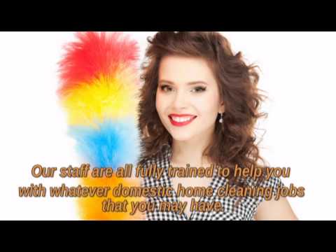 Cleaning Domestic Cleaners - YouTube