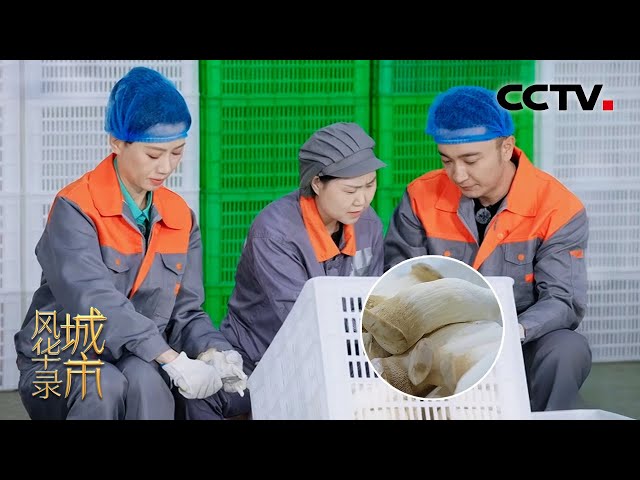 [城市风华录]探秘遂宁绿色食品的“菜篮子” | CCTV