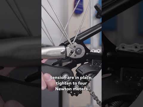 How to fit the chain tensioner on the Brompton P Line PT2
