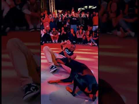NO WAY! Doberman Crashing a Hip-Hop Dance Battle with Breaking Moves! #funny #animals