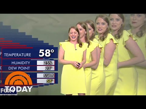 TV Meteorologist Gets Duplicated In Hilarious Green Screen Mishap