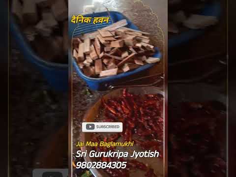 आज के हवन के दर्शन श्री बगलामुखी दैनिक हवन @srigurukripajyotish 9802884305