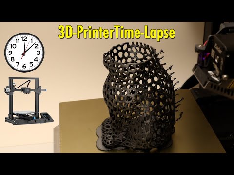 3D Printer Time-Lapse: Cat
